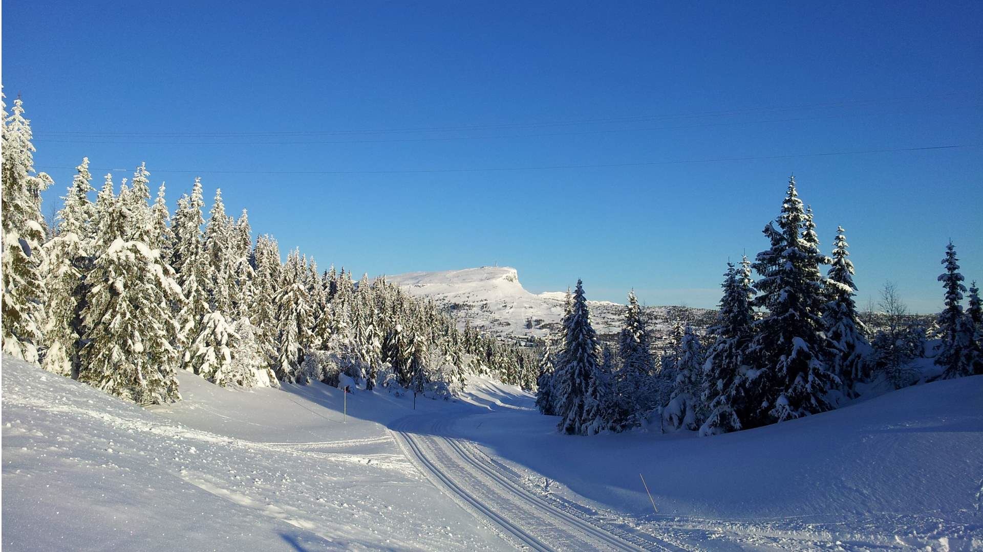 Vakker natur på Skeikampen Blå himmel og sol.